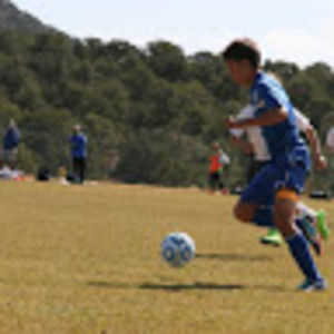 Meet your Posher, Sam